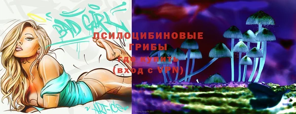 a pvp Арсеньев