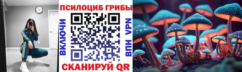 Галлюциногенные грибы MAGIC MUSHROOMS  даркнет сайт  Приморск 